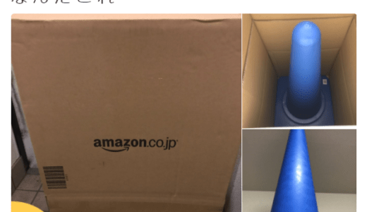 Amazonのほしい物リストからカラーコーンを贈ったお話