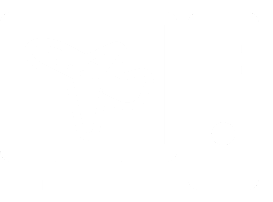 羽田空港サーバー