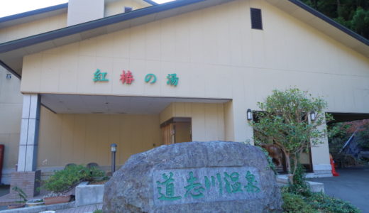 道志川温泉紅椿の湯「べにつばきのゆ」に行ってきました！